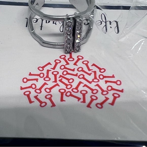 Stella & Dot Keep Collective Silver Split Ring - New in Box - Picture 2 of 6